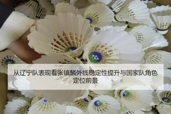 从辽宁队表现看张镇麟外线稳定性提升与国家队角色定位前景