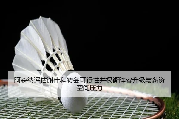 阿森纳评估谢什科转会可行性并权衡阵容升级与薪资空间压力
